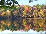 Autumn Reflections - Ocean Pines Maryland