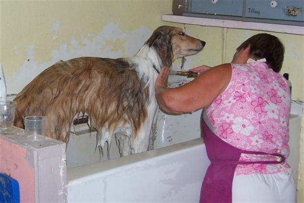 King In The Tub