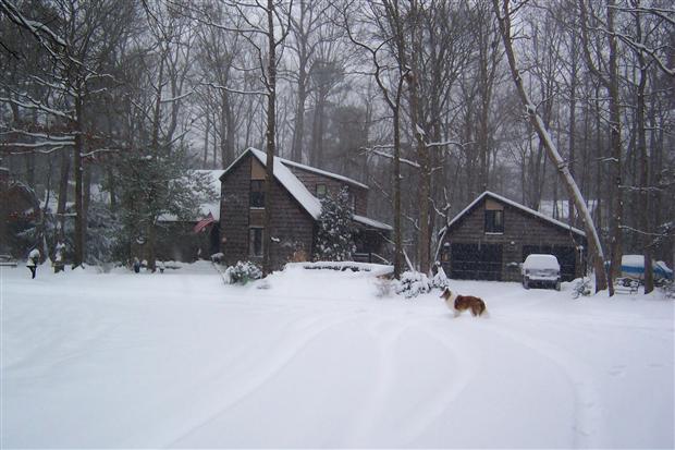 King in the Snow