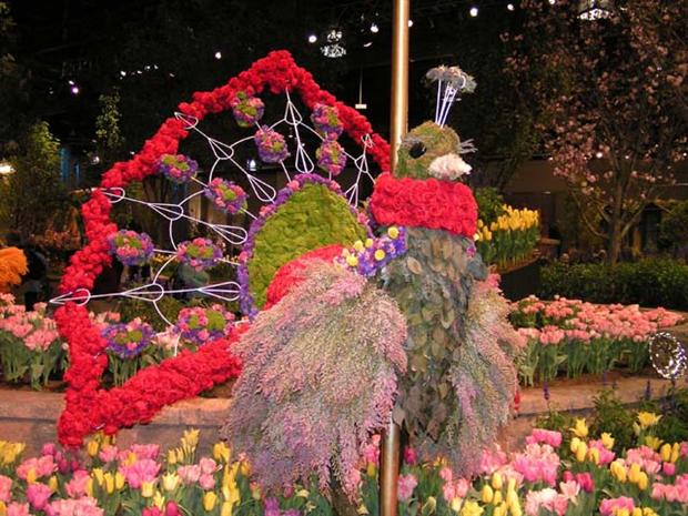 Philly Flower Show