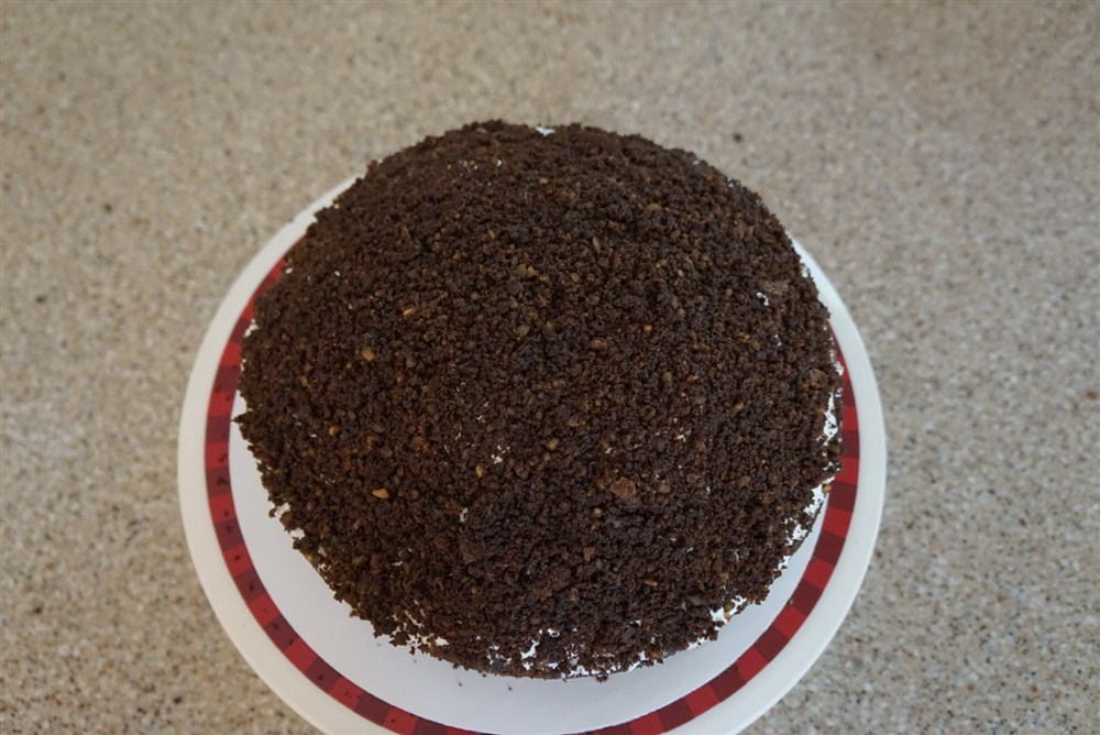 Mole Cake