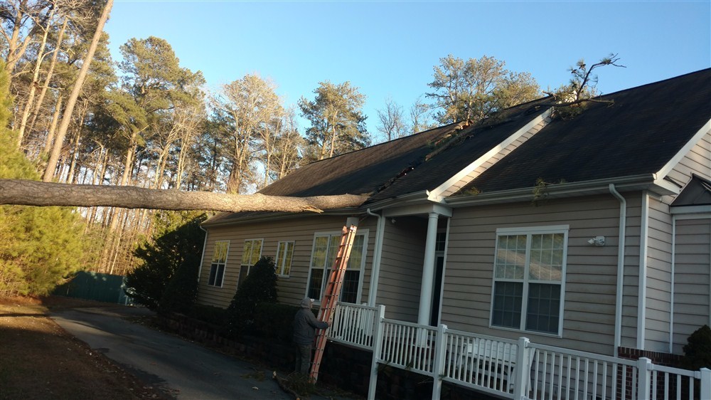 Roof Damage