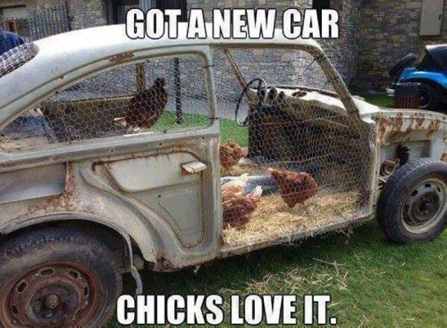 Chicks Car