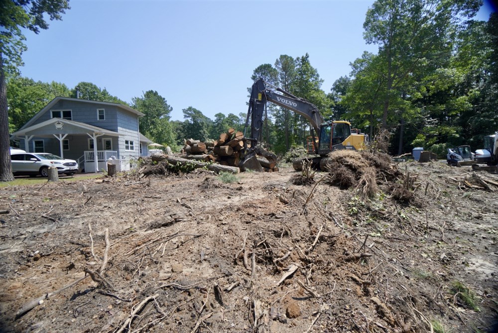 The Cleared Lot