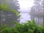 Foggy morning, May 10