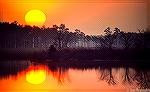 Sunset on Blackwater National Wildlife Refuge near Cambridge, Maryland.