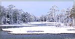 View across Manklin Creek from our bedroom, morning of March 26, 2014 after a late March snowfall.