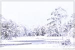 View across Manklin Creek from our bedroom, morning of March 26, 2014 after a late March snowfall.