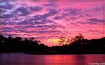 Sunset on Manklin Creek. Photo taken November 17, 2012 from our dock.