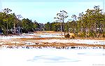 Winter, February 2015 Manklin Creek in Ocean Pines. View from our bedroom.