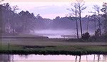 Early morning mist at the end of Jake Gut across Manklin Creek.