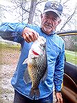 Trophy crappie caught by Charles Tornetta at South Gate Pond in Ocean Pines in July 2018. Image submitted by Charles Tornetta.