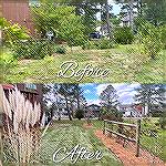 Yard Maintenance / Makeover in Ocean Pines