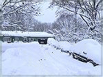 Lake Effect Snowstorm Result in Erie, Pa. 2 1/2 ft. November 2024. Jack Barnes III Mother in Law. Lots of shoveling. 